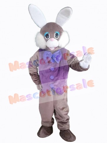 Easter Bunny Rabbit mascot costume