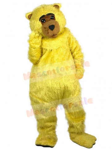 Bear mascot costume