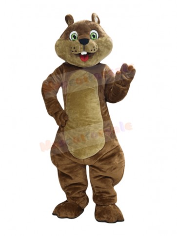 Squirrel mascot costume