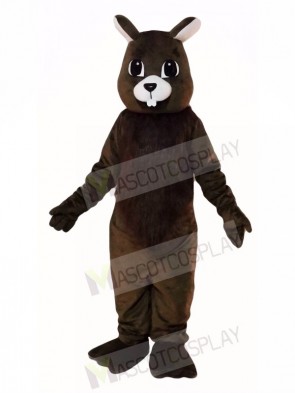 Brown Squirrel Mascot Costumes  