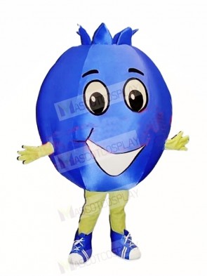 Top Quality Blueberry Mascot Costume 