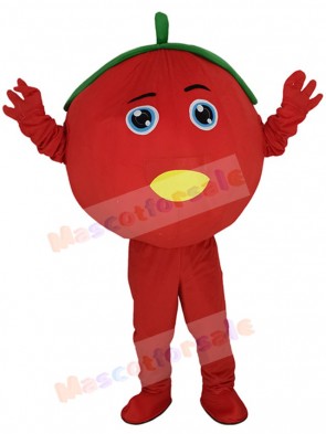 Tomato mascot costume