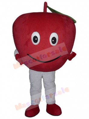 Apple Fruit mascot costume