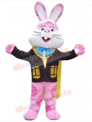 Easter Bunny Rabbit mascot costume