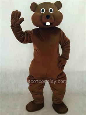 Brown Nutty Squirrel Mascot Costume