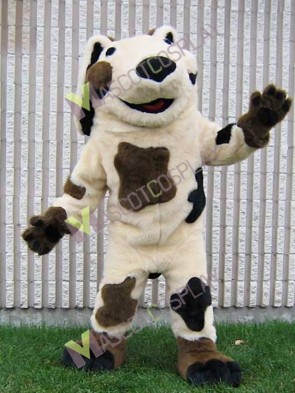 Iowa Clippers Mascot Costume