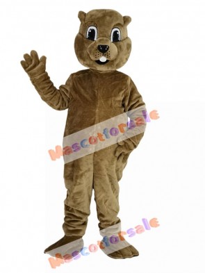 Brown Groundhog Mascot Costume Animal