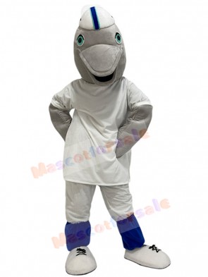 Dolphin Mascot Costume