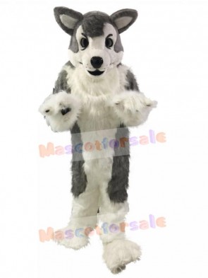 Dog mascot costume