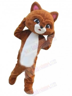 Cat mascot costume