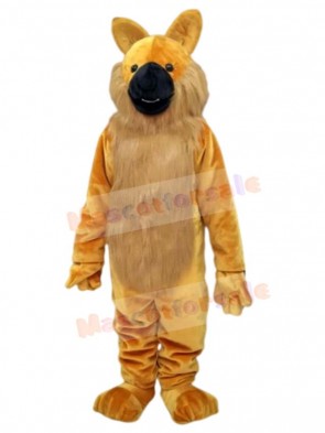 Wolf mascot costume