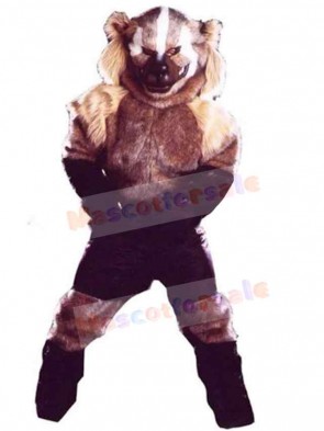 Wolf mascot costume