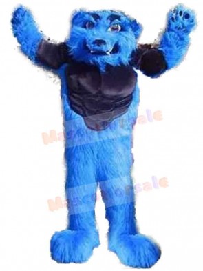 Wolf mascot costume