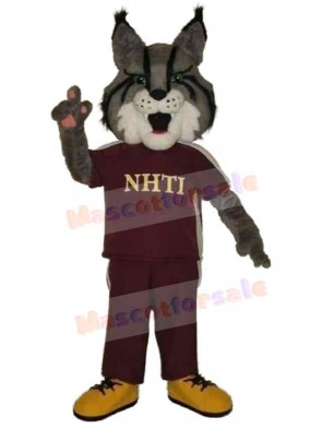 Wolf mascot costume