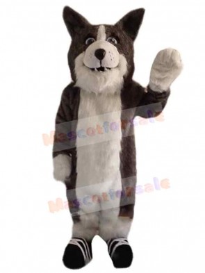 Wolf mascot costume