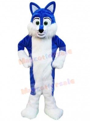 Wolf mascot costume