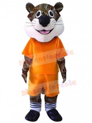 Leopard mascot costume