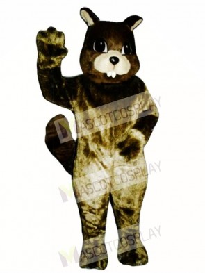 Squirrel Mascot Costume