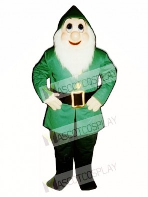 Christmas Elf Mascot Costume