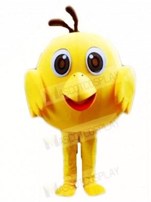 Yellow Chick Mascot Costumes Poultry