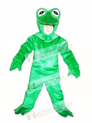 Cute Frog Mascot Costume