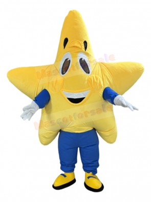 Star mascot costume