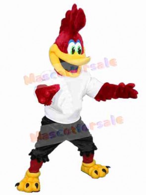Red Roadrunner Bird Mascot Costumes Animal