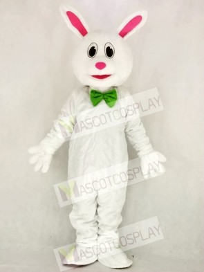 Funny Easter Bunny Rabbit Mascot Costume School 