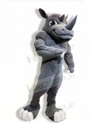 Power Rhino Mascot Costumes