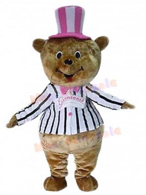 Bear mascot costume