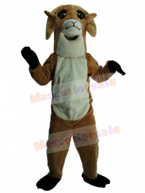 Sheep mascot costume