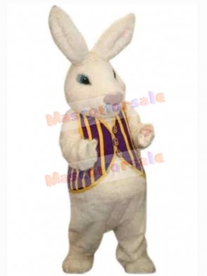 Easter Bunny Rabbit mascot costume