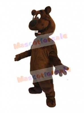 Beaver mascot costume