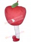 Apple Fruit mascot costume