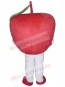 Apple Fruit mascot costume