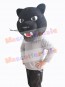 Panther mascot costume