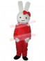 Easter Bunny Rabbit mascot costume