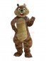 Squirrel mascot costume