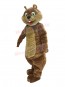 Squirrel mascot costume