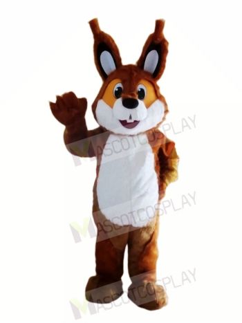 Brown Lightweight Squirrel Mascot Costumes 