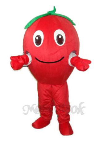 Red Apple Mascot Adult Costume 