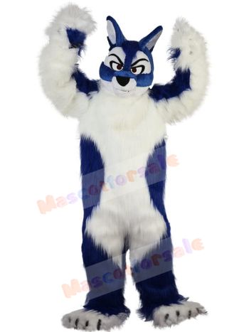 Wolf mascot costume