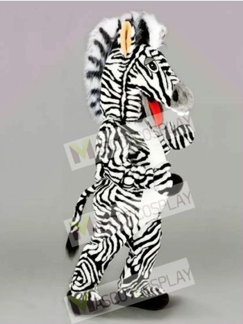 Zebra Mascot Costume  