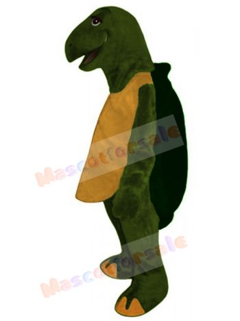 Tortoise mascot costume