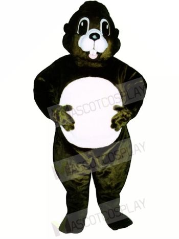 Happy Groundhog Mascot Costumes 