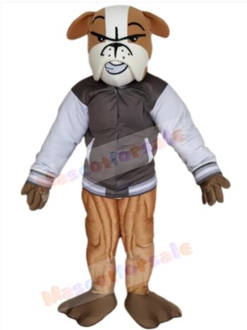 Bulldog mascot costume