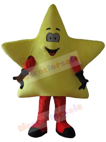 Star mascot costume