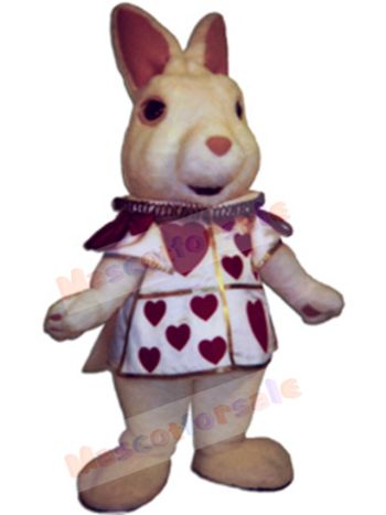 Bunny Rabbit mascot costume