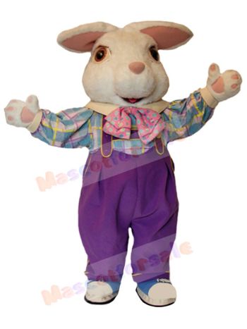Easter Bunny Rabbit mascot costume