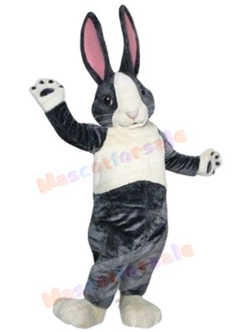 Bunny Rabbit mascot costume